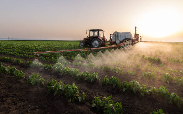 Best Commercial Pest Control Services  in Plymouth, PA