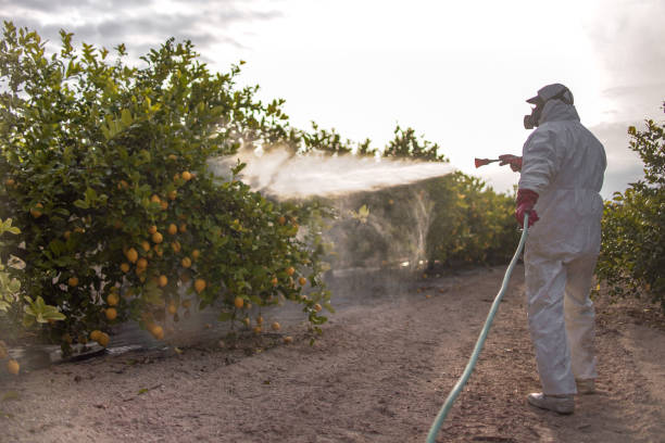 Best Pest Prevention Services  in Plymouth, PA