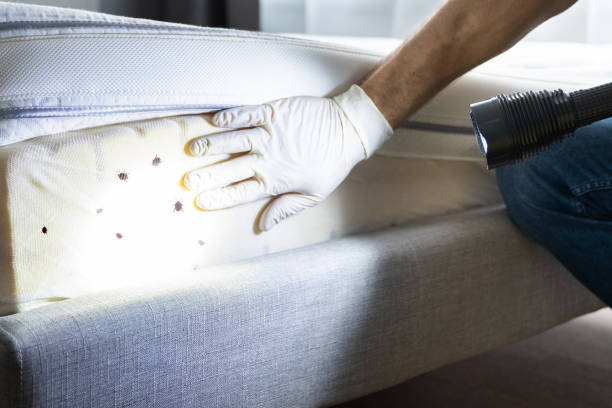 Best Affordable Pest Control Services  in Plymouth, PA