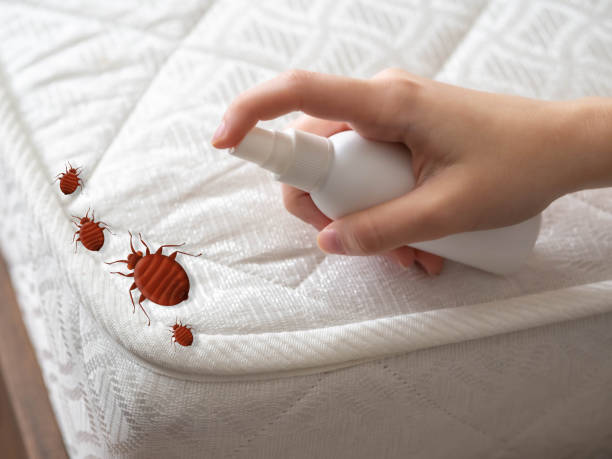 Professional Pest Control in Plymouth, PA