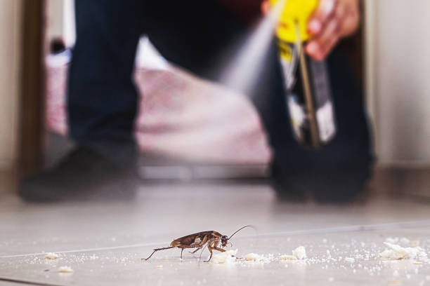 Best Wildlife Control Services  in Plymouth, PA