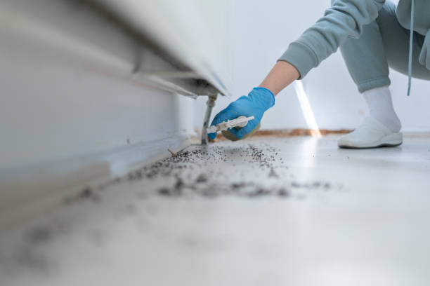Best Affordable Pest Control Services  in Plymouth, PA